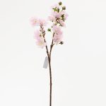 Konár čerešňa ružová 50cm