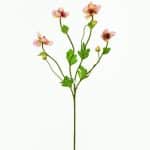 Kvet Heleborus 37cm ružová