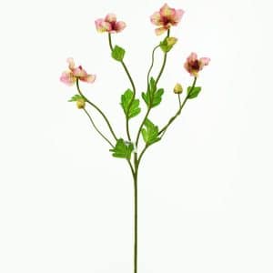 Kvet Heleborus 37cm ružová