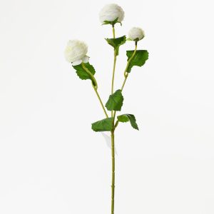 Ranunculus biely 43 cm