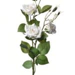 Ruža bielo ružová 75cm