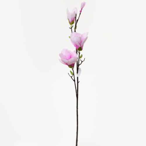 Magnólia konár bledoružová 82cm