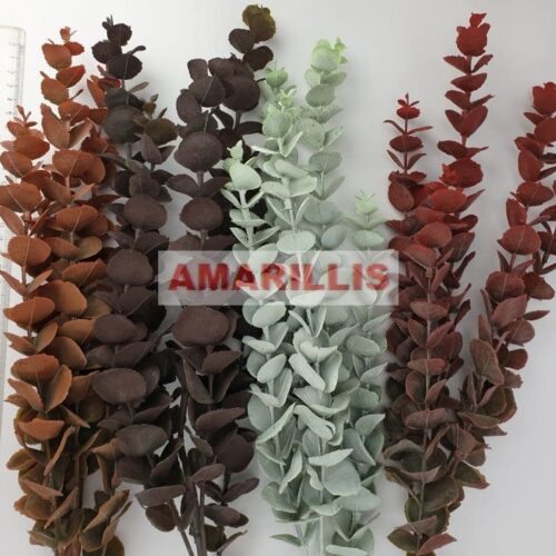 Eukalyptus 60cm mix