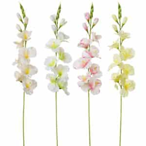 Gladiola svtlá 80cm