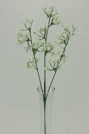 Gypsofila biela 60cm
