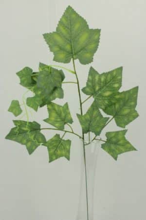 List viniča 58cm