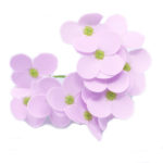 Mydlový kvet hortenzia fialová