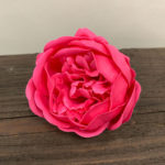 Mydlový kvet pivonka tmavo ružová