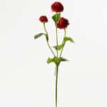 Ranunculus červený 43 cm