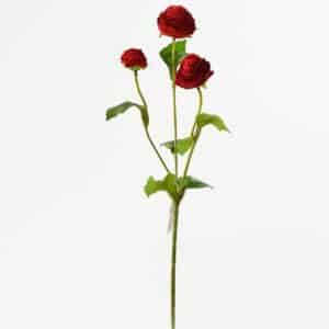 Ranunculus červený 43 cm