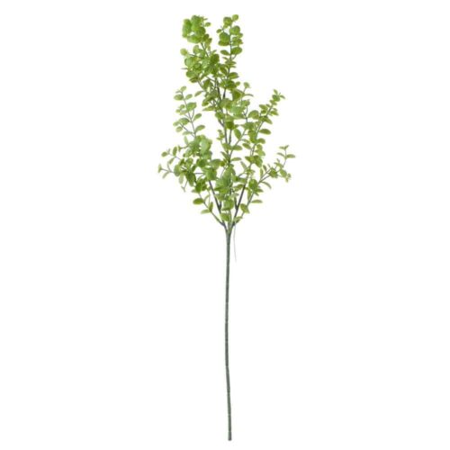 Eukalyptus drobné lístky 57cm