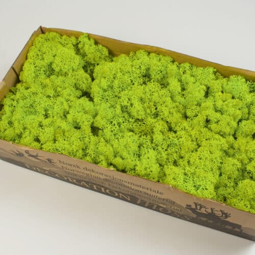 Mach islandský zelený 500g
