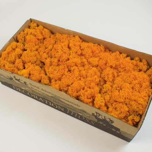 Mach islandský oranžový 500g