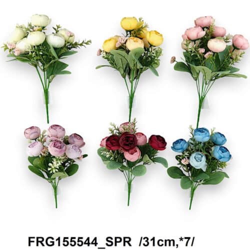 Kytica ranunculus x7