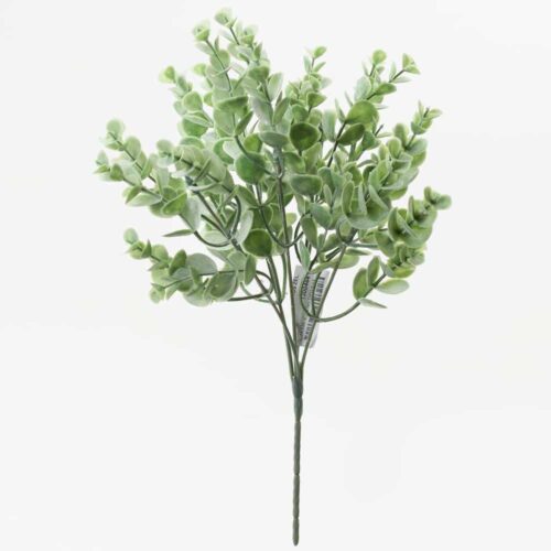 Eukalyptus zelený 30cm